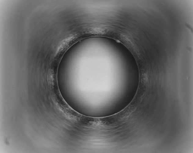 X0000100840688200806201151