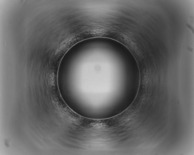 X0000100840689200806201151