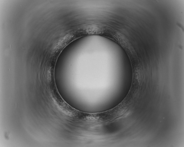 X0000100840690200806201151