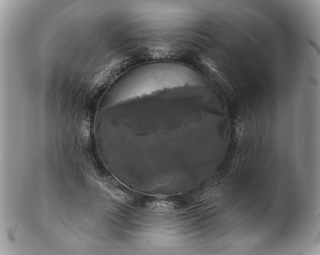 X0000100840691200806201151