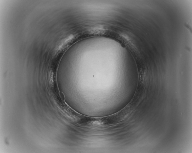 X0000100840692200806201151