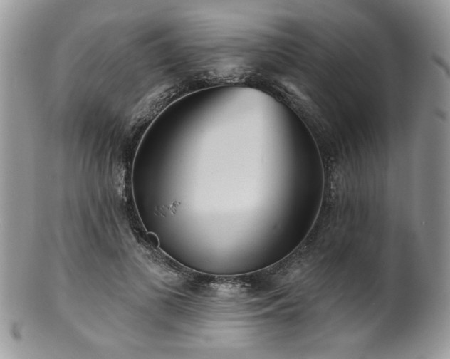 X0000100840693200806201151