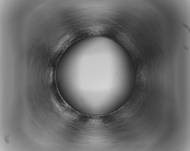 X0000100840694200806201151