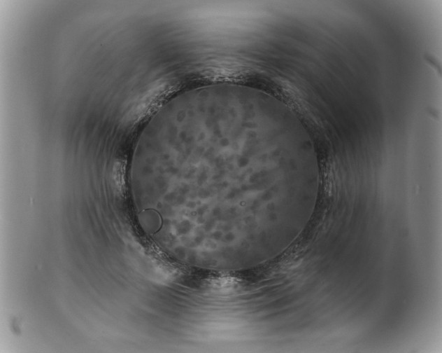 X0000100840695200806201151