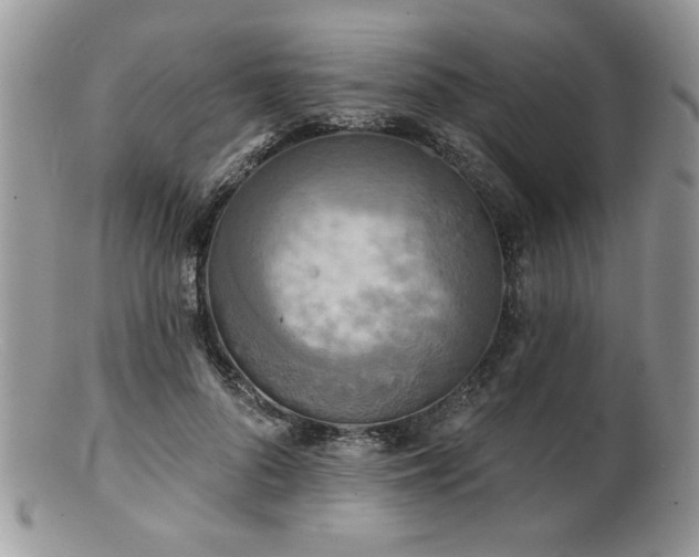 X0000100840696200806201151