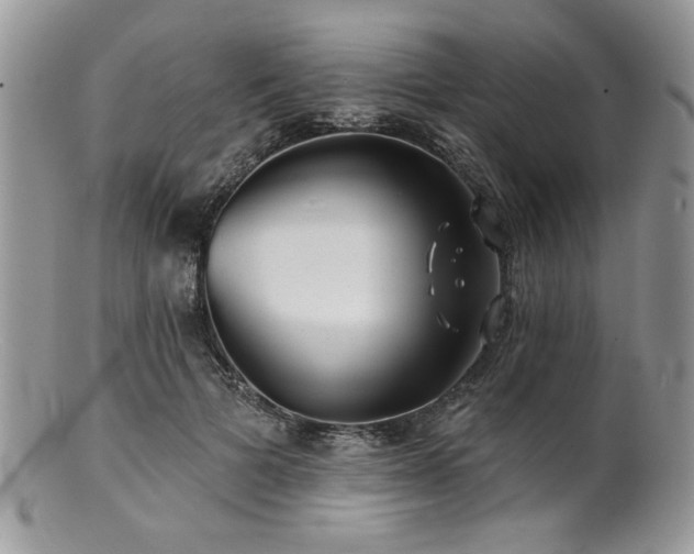 X0000100840697200806201151