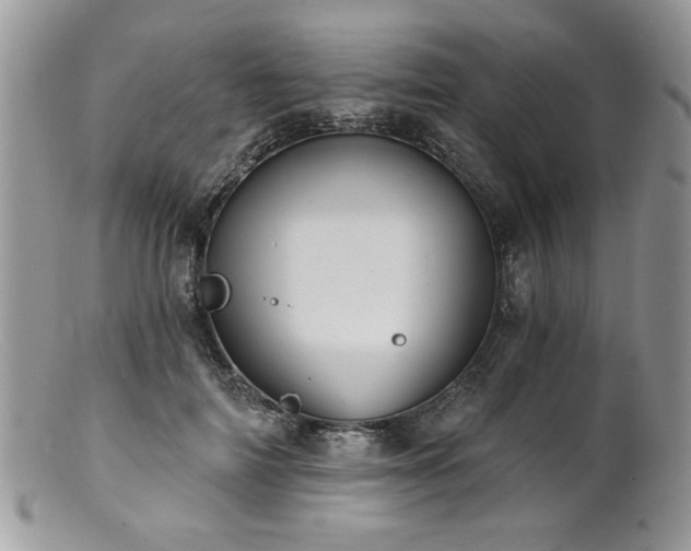 X0000100840698200806201151