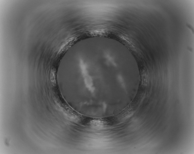 X0000100840699200806201151