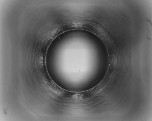 X0000100840700200806201151