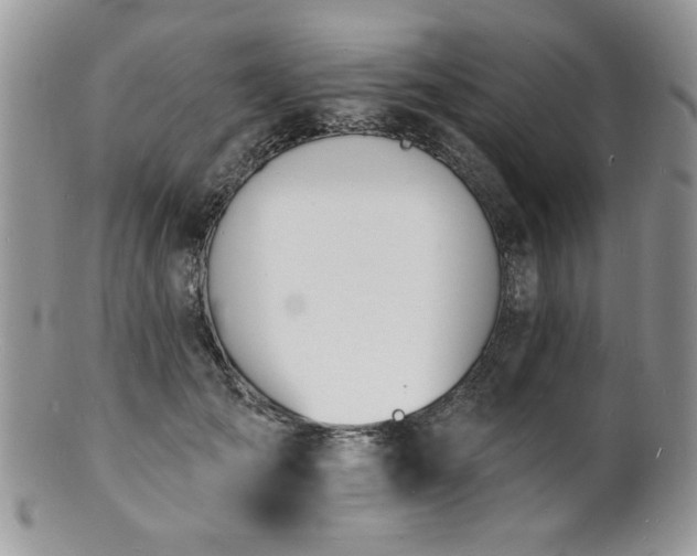 X0000100840701200806201151