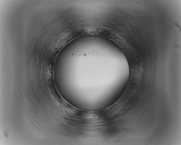 X0000100840702200806201151