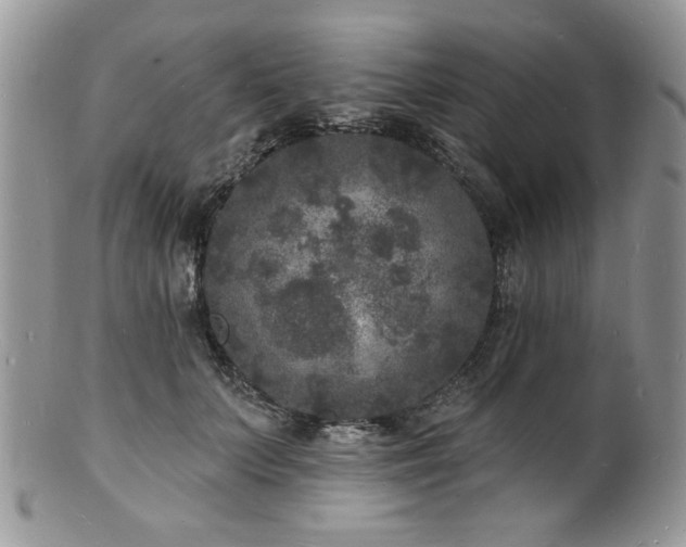 X0000100840703200806201151