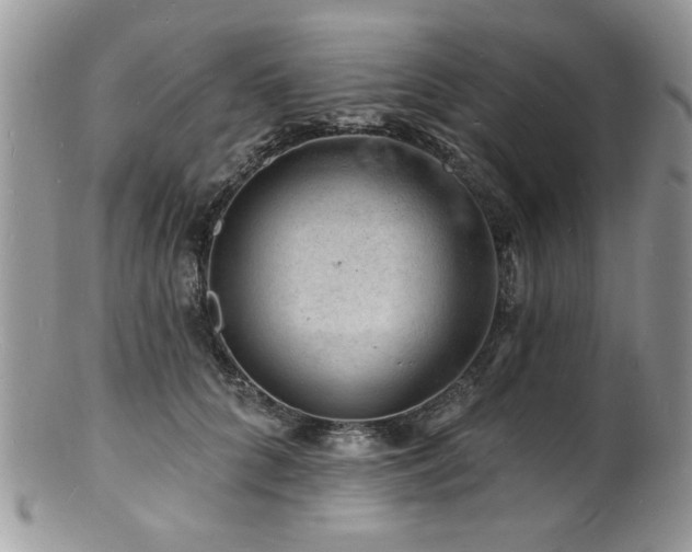 X0000100840704200806201151