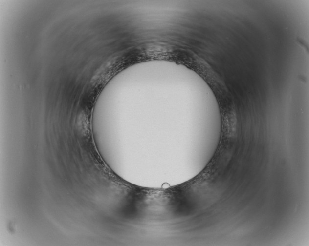 X0000100840705200806201151