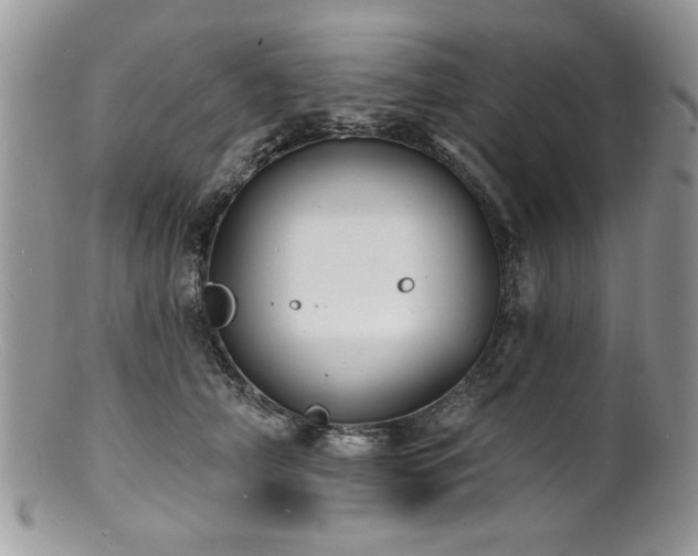 X0000100840706200806201151