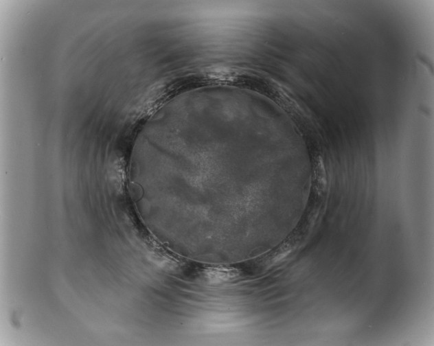 X0000100840707200806201151