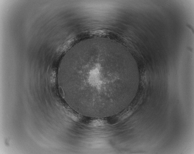 X0000100840708200806201151