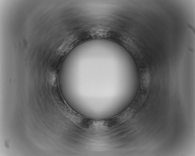 X0000100840709200806201151