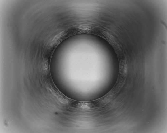 X0000100840710200806201151