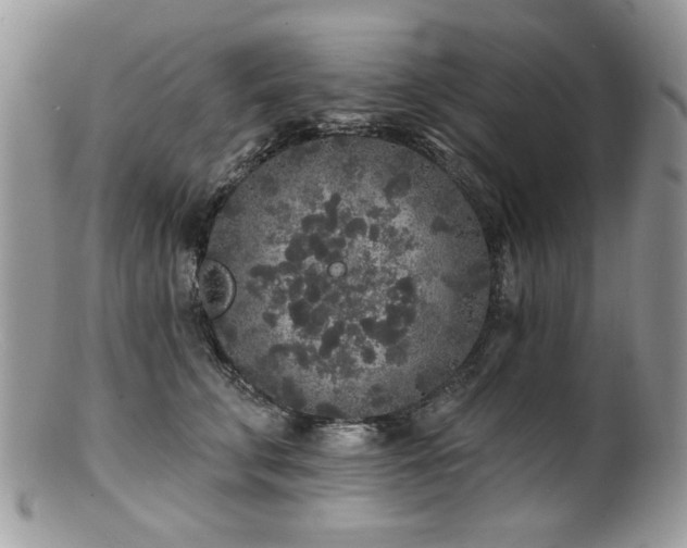 X0000100840711200806201151