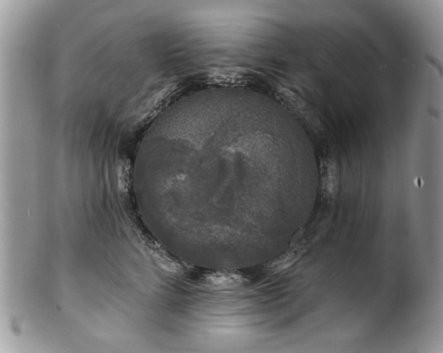 X0000100840712200806201151