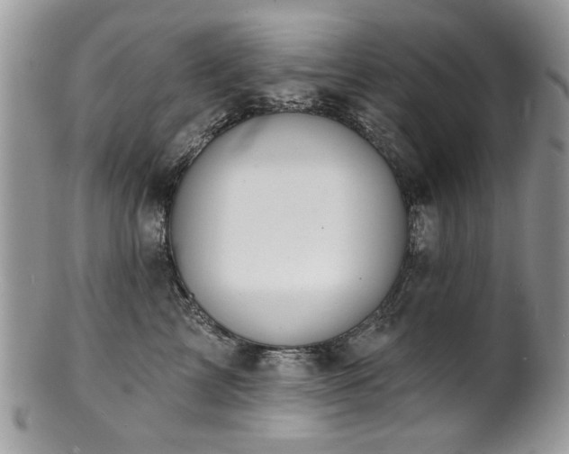 X0000100840713200806201151