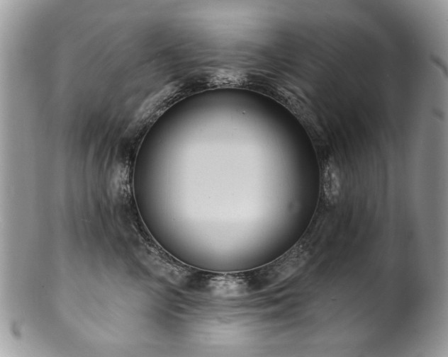 X0000100840714200806201151