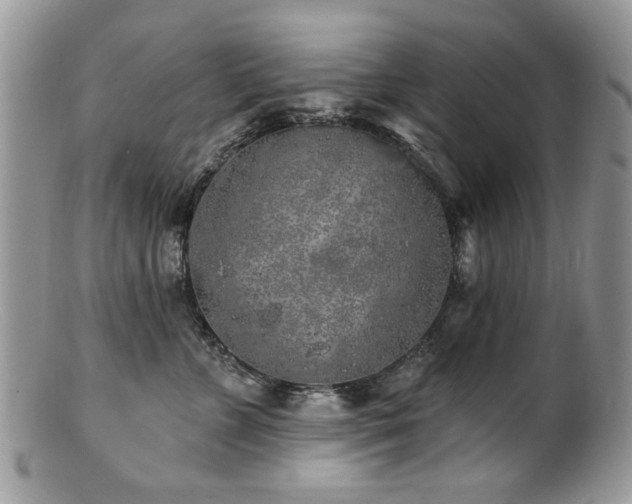 X0000100840715200806201151