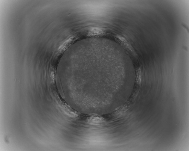 X0000100840716200806201151