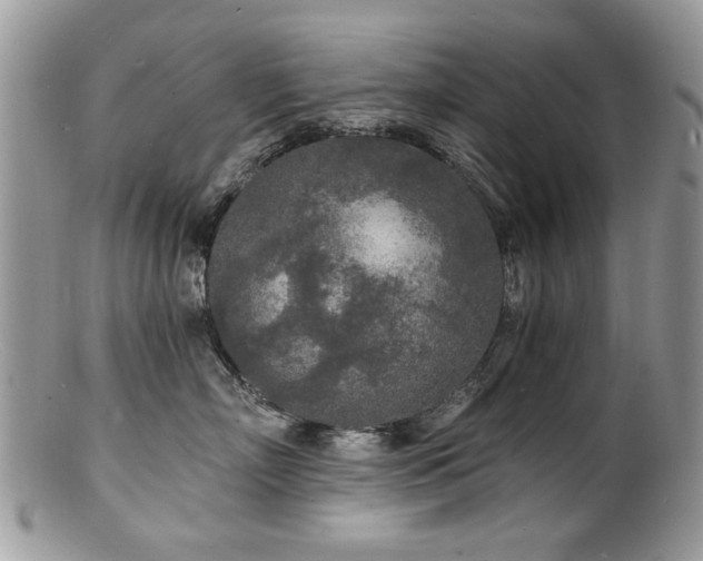 X0000100840718200806201151