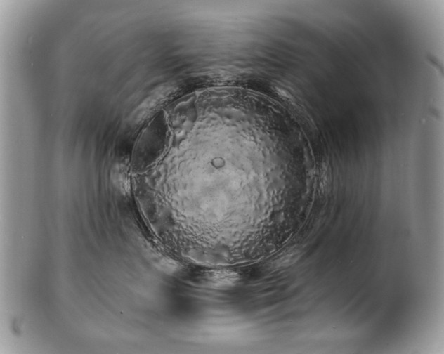 X0000100840719200806201151