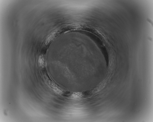 X0000100840720200806201151