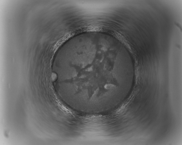 X0000100840721200806201150