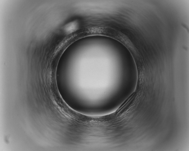 X0000100840722200806201150