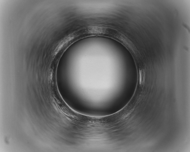 X0000100840723200806201150