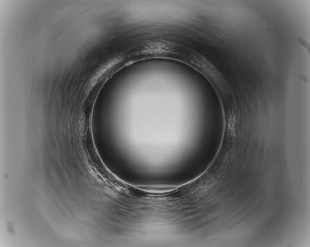 X0000100840724200806201150