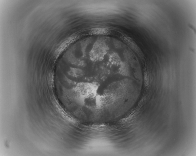 X0000100840725200806201150