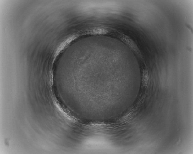 X0000100840726200806201150