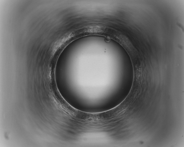 X0000100840727200806201150