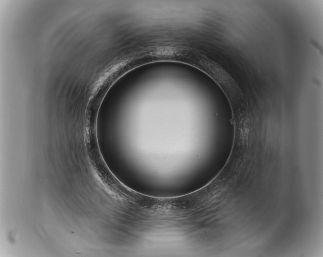 X0000100840728200806201150