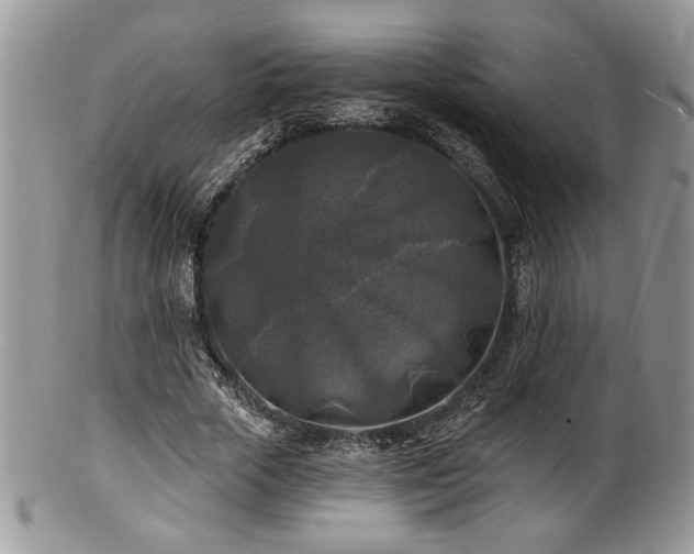 X0000100840729200806201150