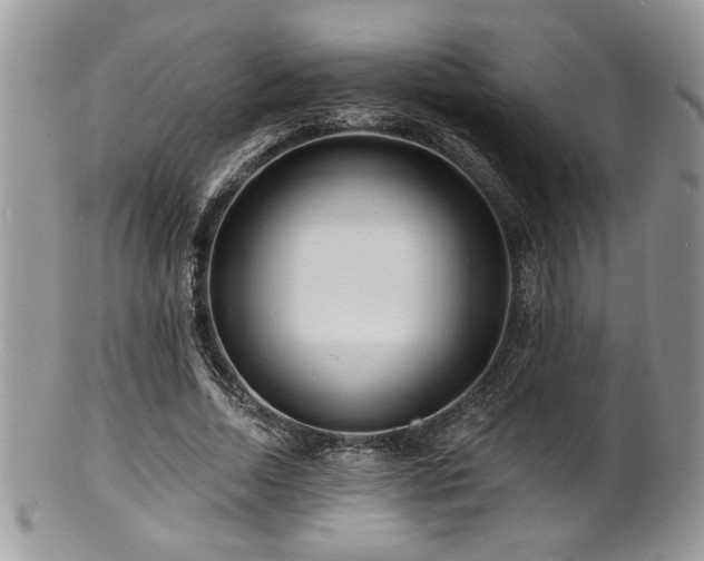 X0000100840730200806201150