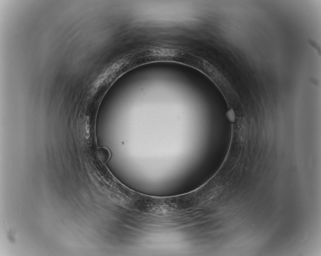 X0000100840731200806201150