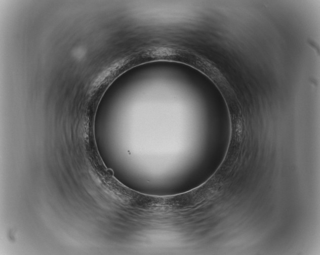 X0000100840732200806201150