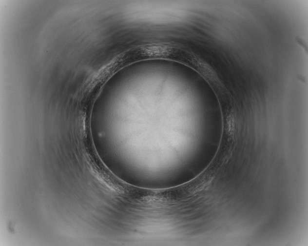 X0000100840733200806201150