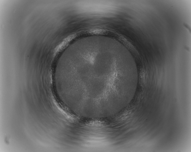 X0000100840734200806201150