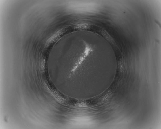 X0000100840735200806201150