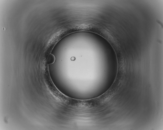 X0000100840736200806201150