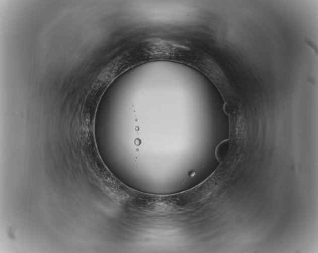 X0000100840737200806201150