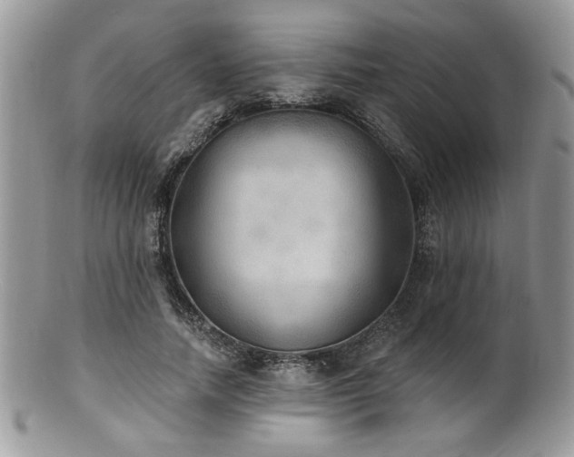 X0000100840738200806201150